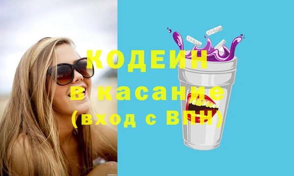 хмурый Алексин