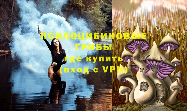 прущий лед Богородицк