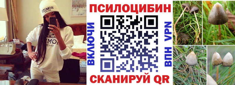 блэк спрут сайт  Безенчук  Галлюциногенные грибы Psilocybine cubensis 